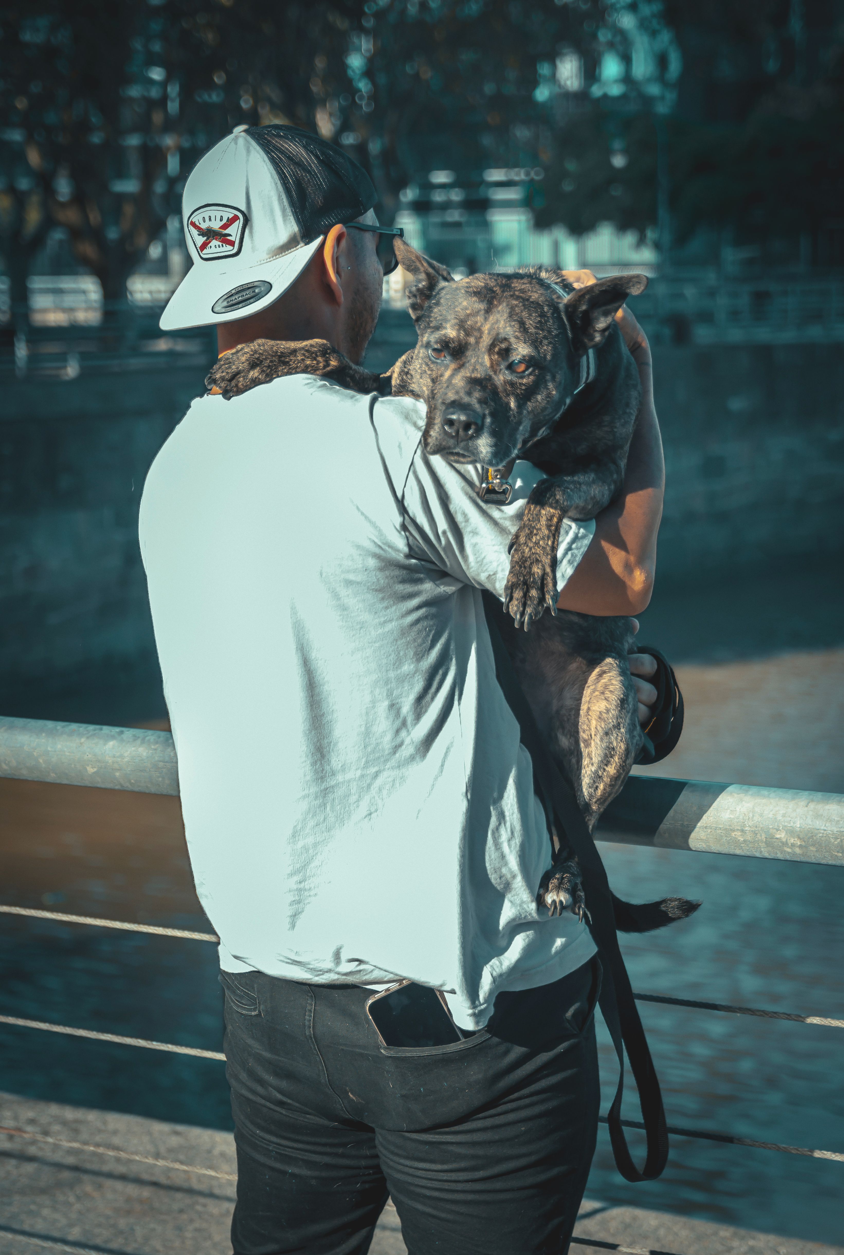 Man Holding Dog by River on Sunny Day · Free Stock Photo