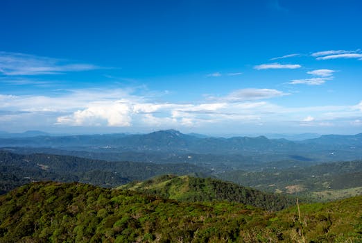 Photo by Thilina Alagiyawanna