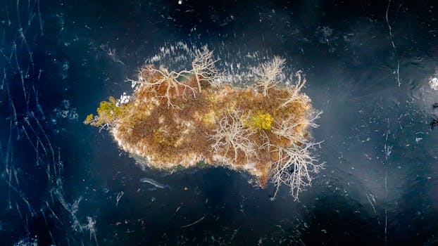 Aerial shot of a small island surrounded by frozen ice in Latvia, showcasing winter beauty.