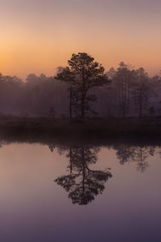 Calm lake at sunrise with trees reflecting in misty water, creating a tranquil atmosphere.