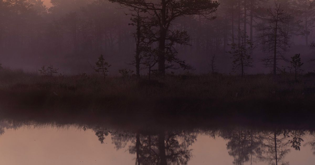 Living a Spiritually Grounded Life in a Distracted World
