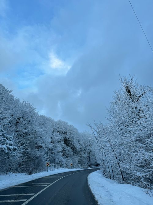 Free A serene winter road with frosted trees against a cloudy sky, perfect for seasonal imagery. Stock Photo