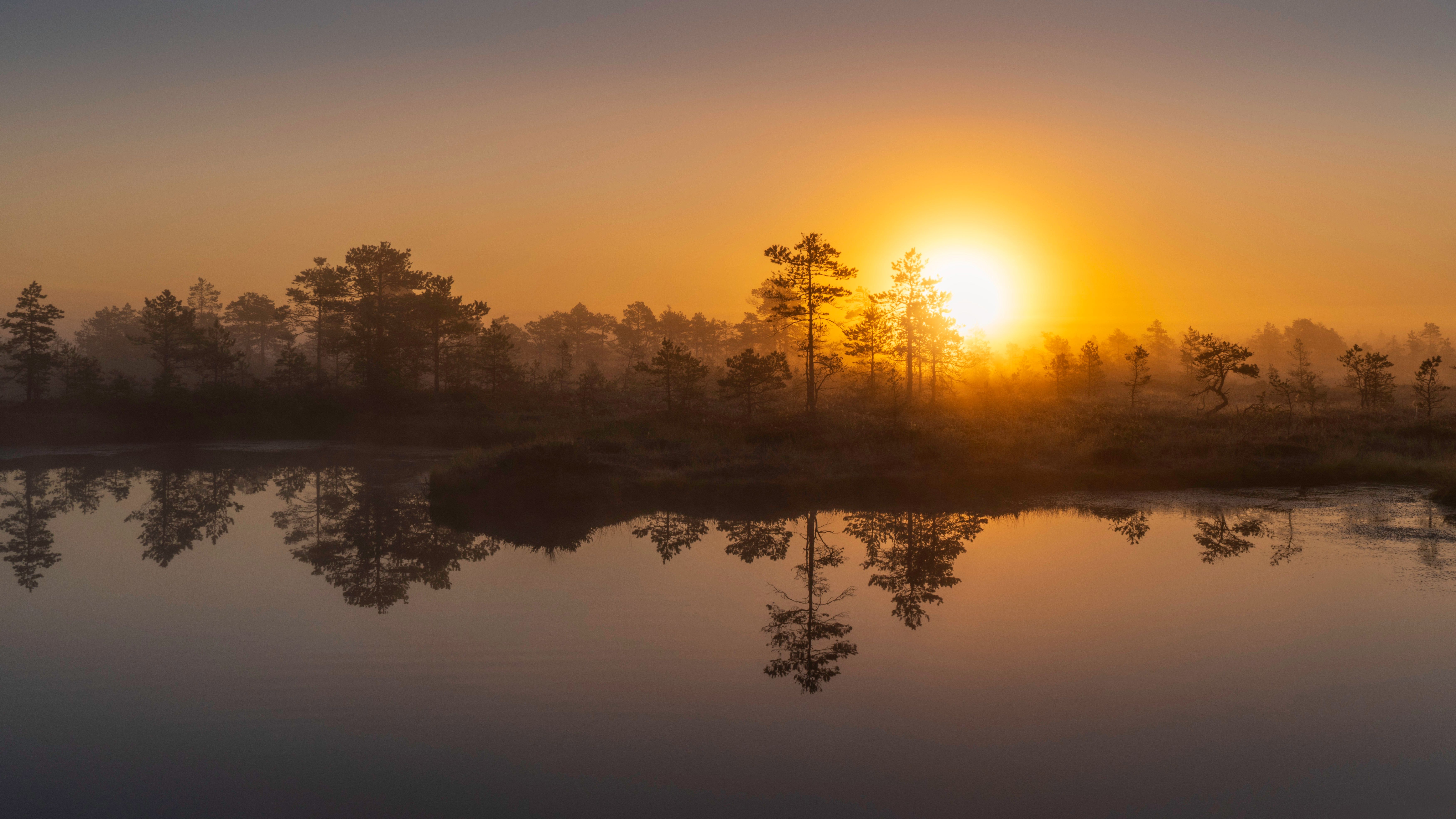 Sunrise over an Estonian forest reflected in a lake