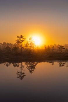 Captivating sunrise in Pillapalu, Estonia, stunningly reflects over a tranquil lake amid a misty forest setting.