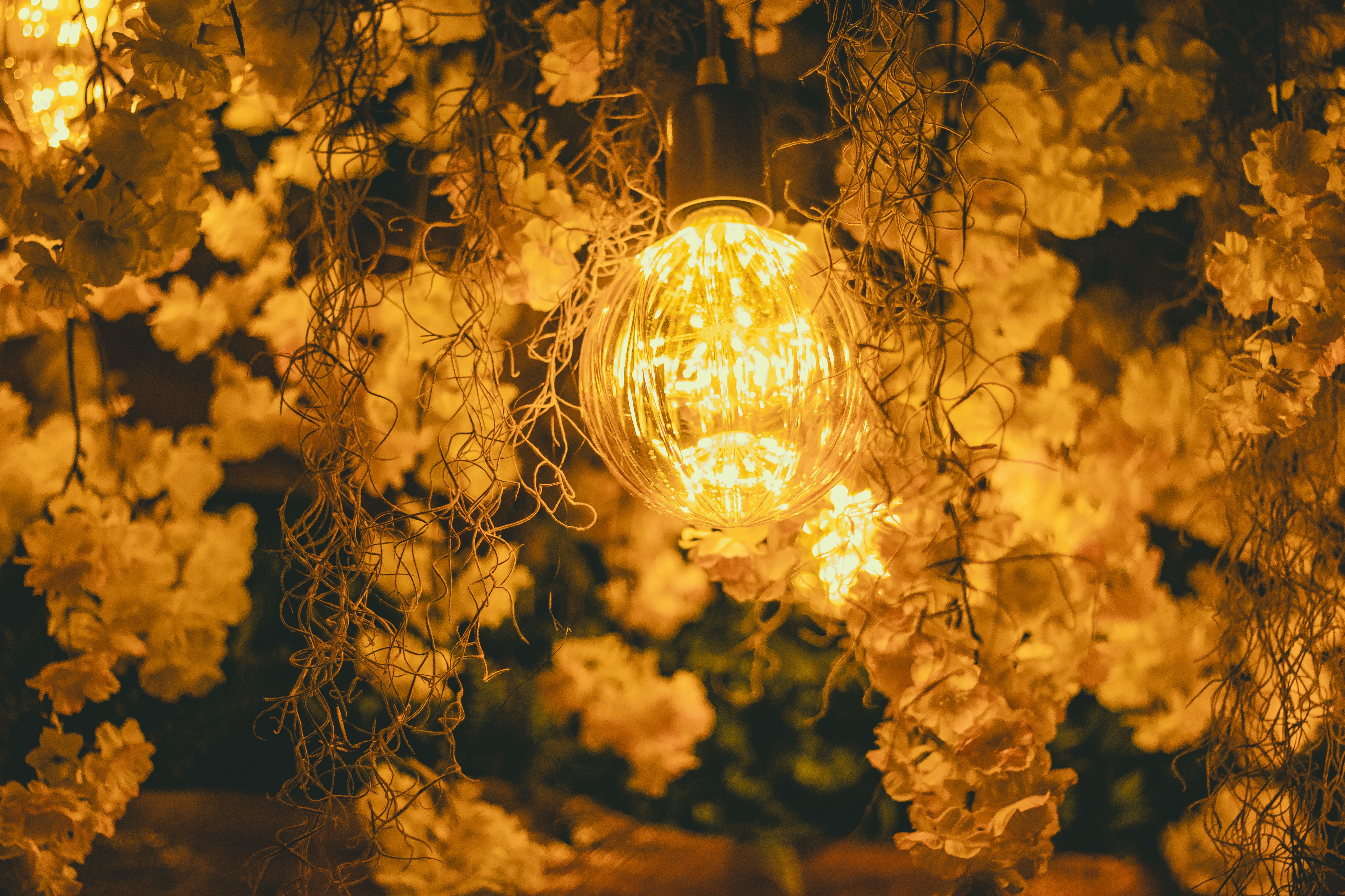 Photos gratuites de 'éclairage de nuit', ambiance cosy, ambiance élégante