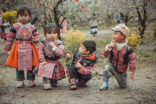 Free Group of children in vibrant traditional dress playing in an orchard holding flowers. Stock Photo