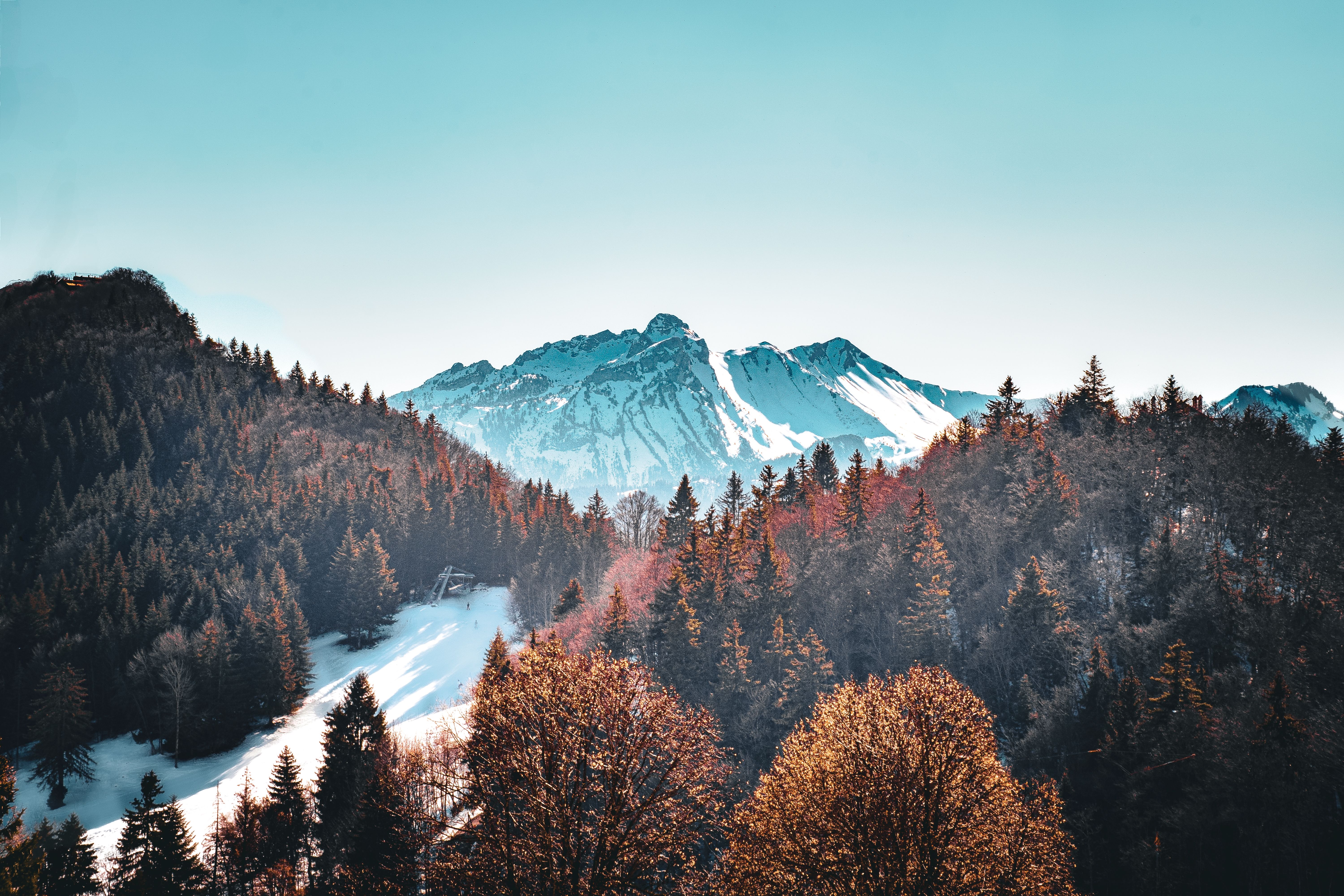 Beautiful view of the French Alps framed by lush forest during spring in Chamonix, France.