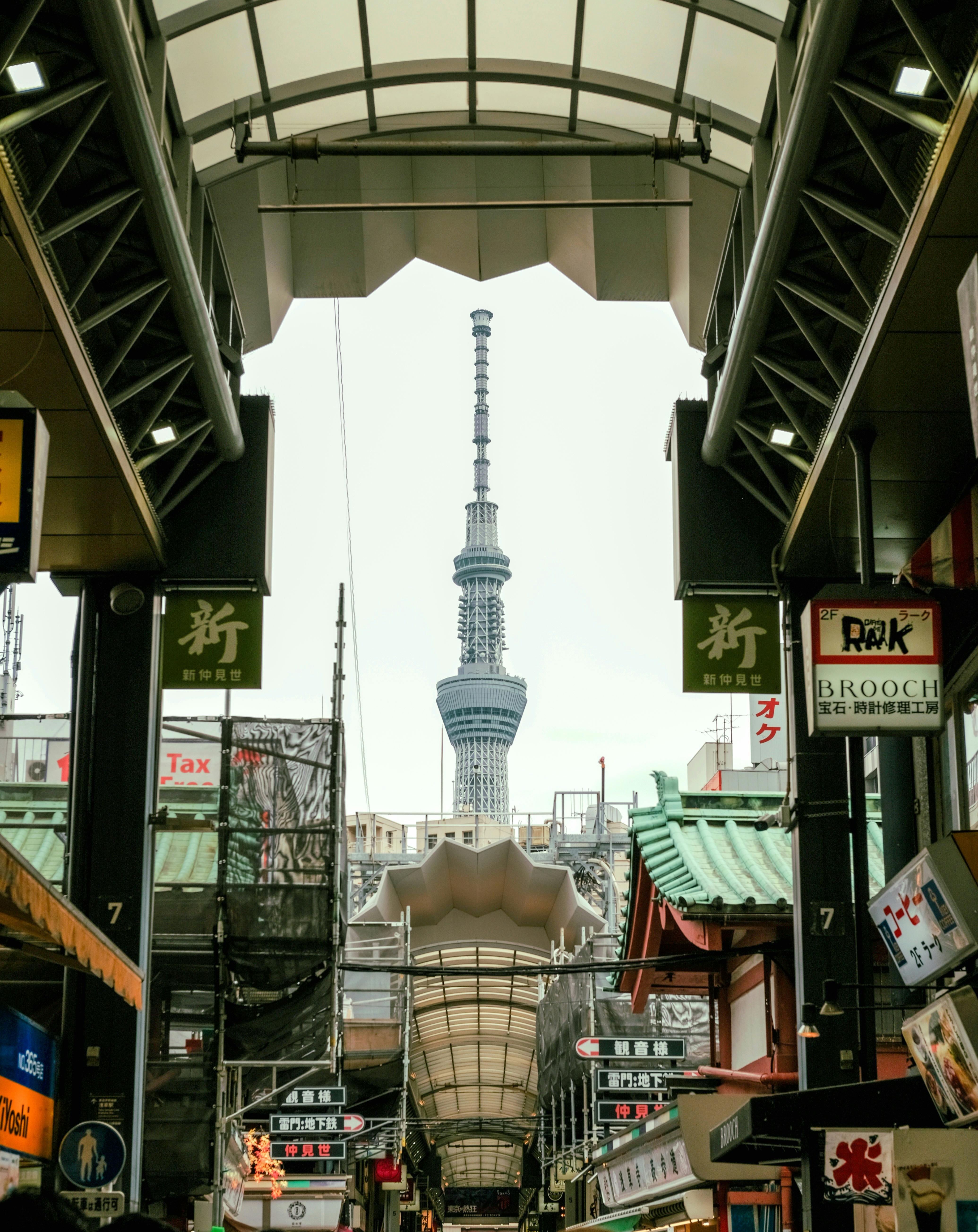 東京観光を女子旅で楽しむ前に知っておきたいポイント