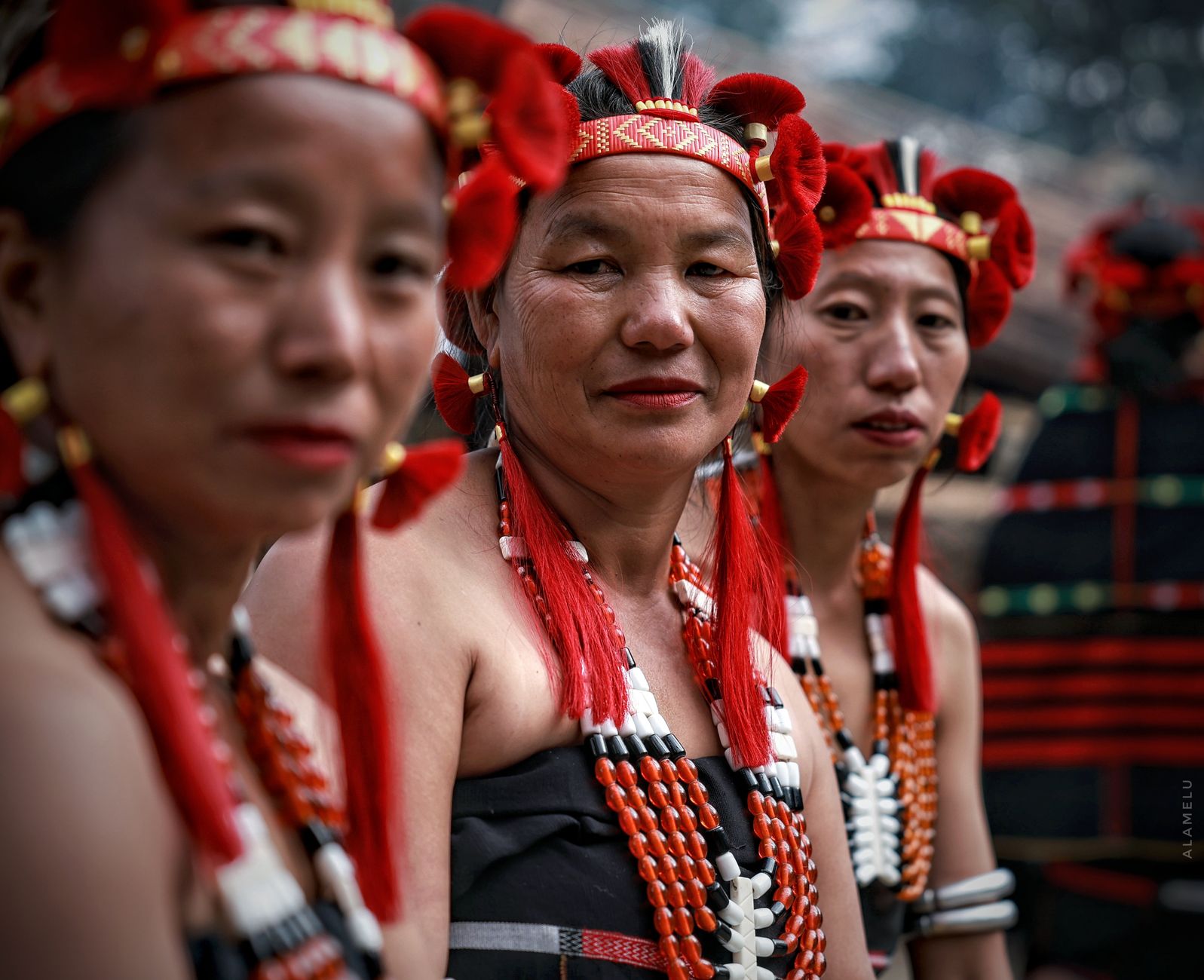 nagaland