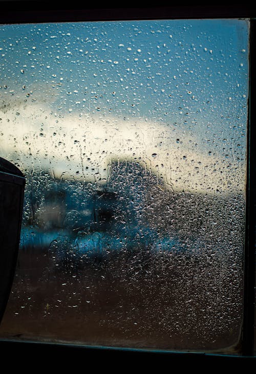 下雨天, 公車, 天性 的 免費圖庫相片