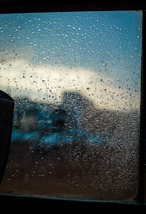 Free stock photo of beautiful, beauty in nature, bus