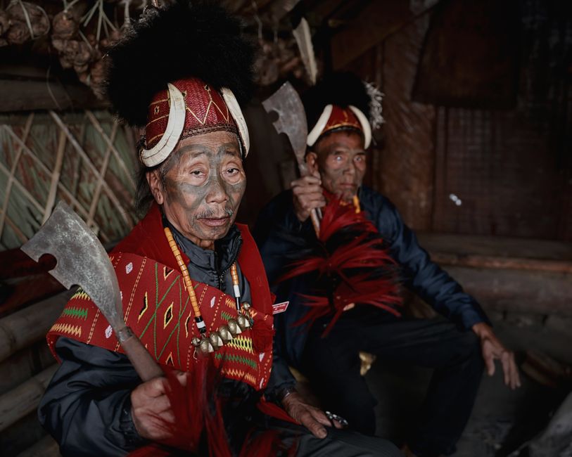 Indigenous Tribe in Nagaland Embraces Orb-Weaver Spiders as Nutritious Protein Source