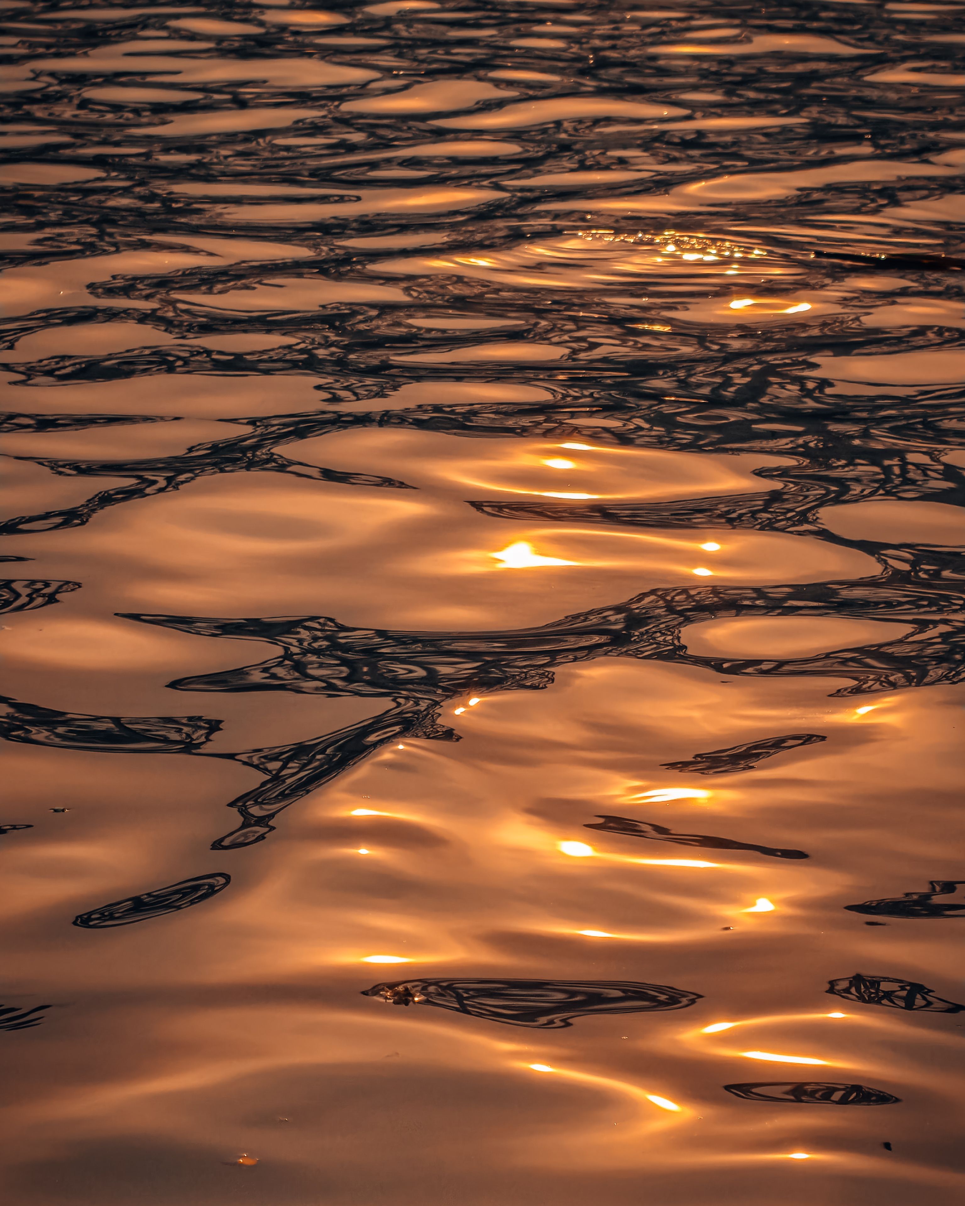 Golden Reflection on Rippling Water Surface · Free Stock Photo