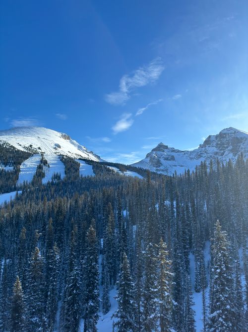 Free Stunning winter view of snow-covered mountains and forests in Banff, Alberta. Stock Photo