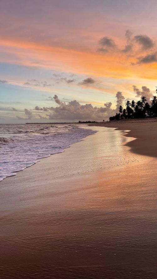 Free Peaceful tropical beach at sunset with vibrant hues and palm trees. Stock Photo