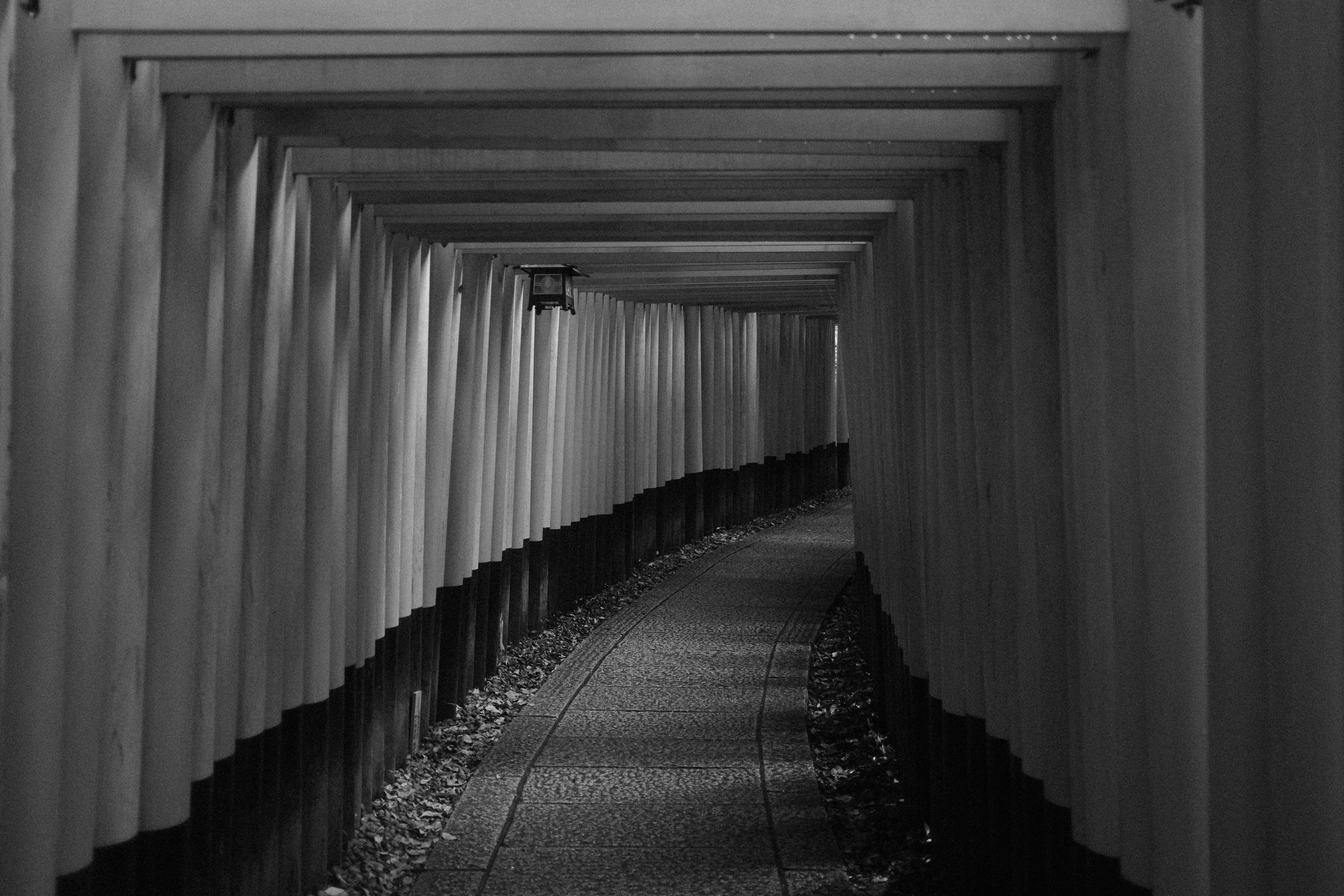 Explore the serene and dramatic pathway through Kyoto's iconic Torii gates.