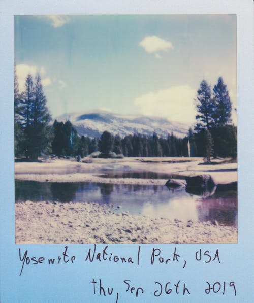 Photo Of Polaroid Picture