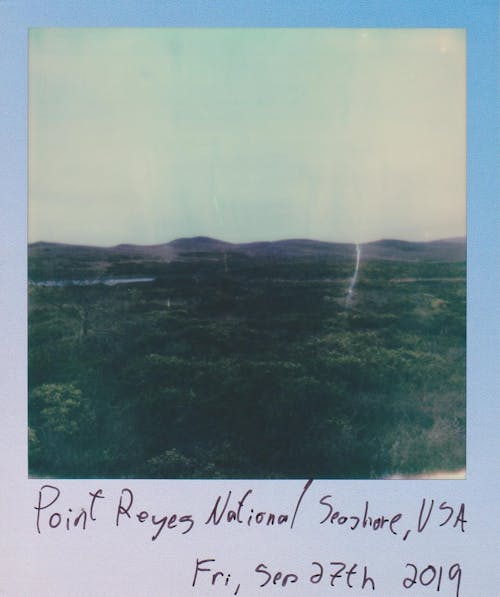 Photo Of Polaroid Picture