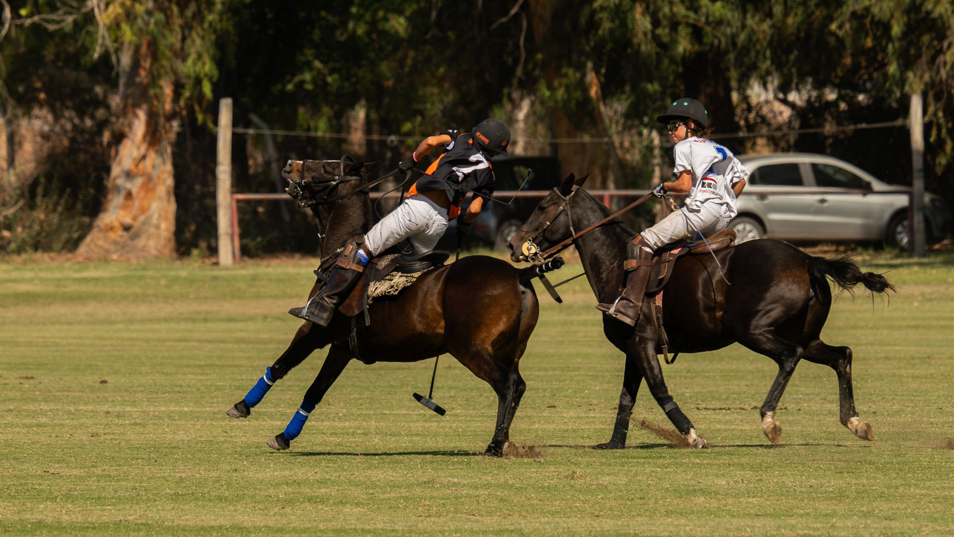 Two polo players competing fiercely on a sunny day, showcasing equestrian skills.