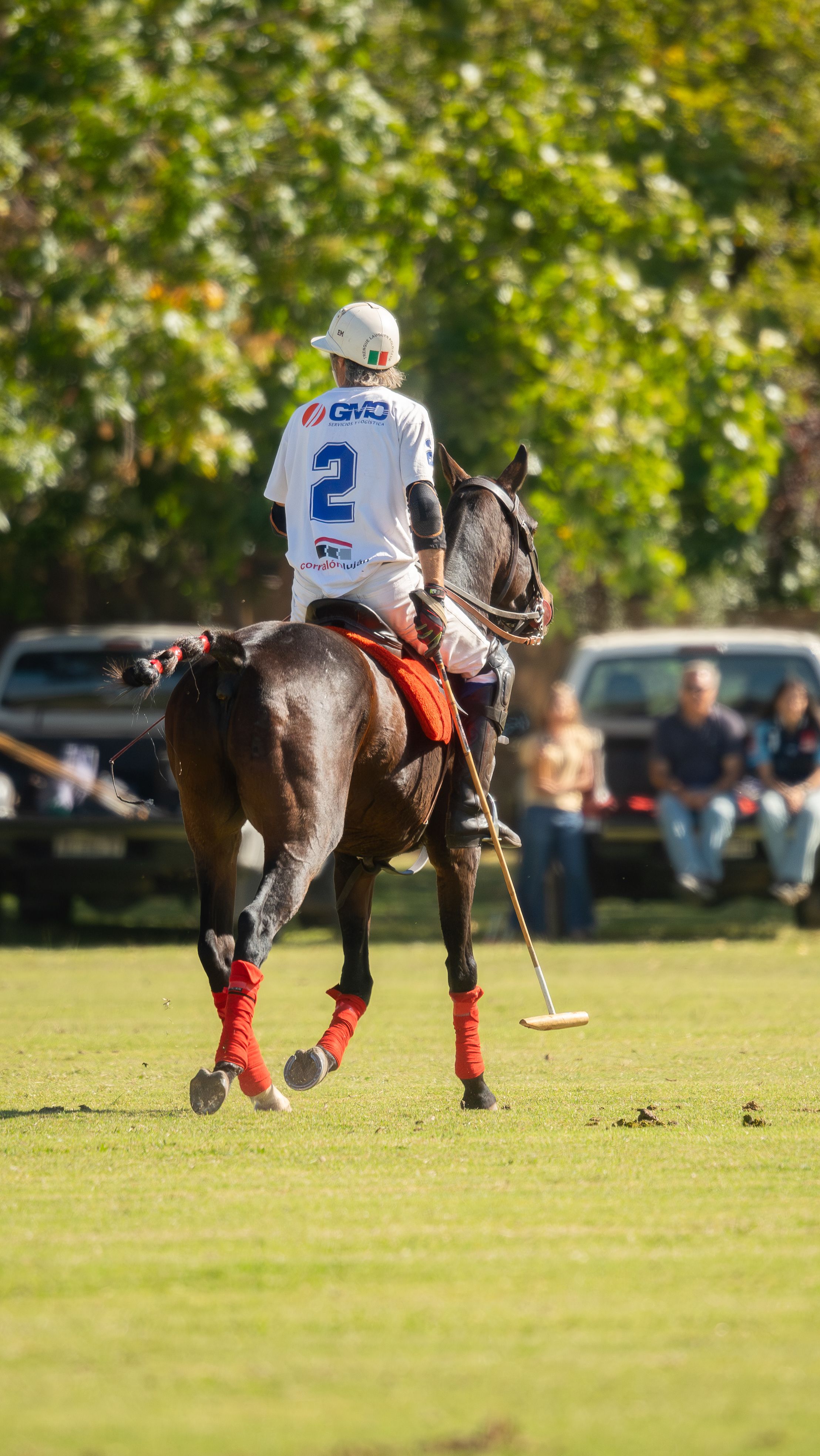 Polo Player Riding Horse During Match · Free Stock Photo