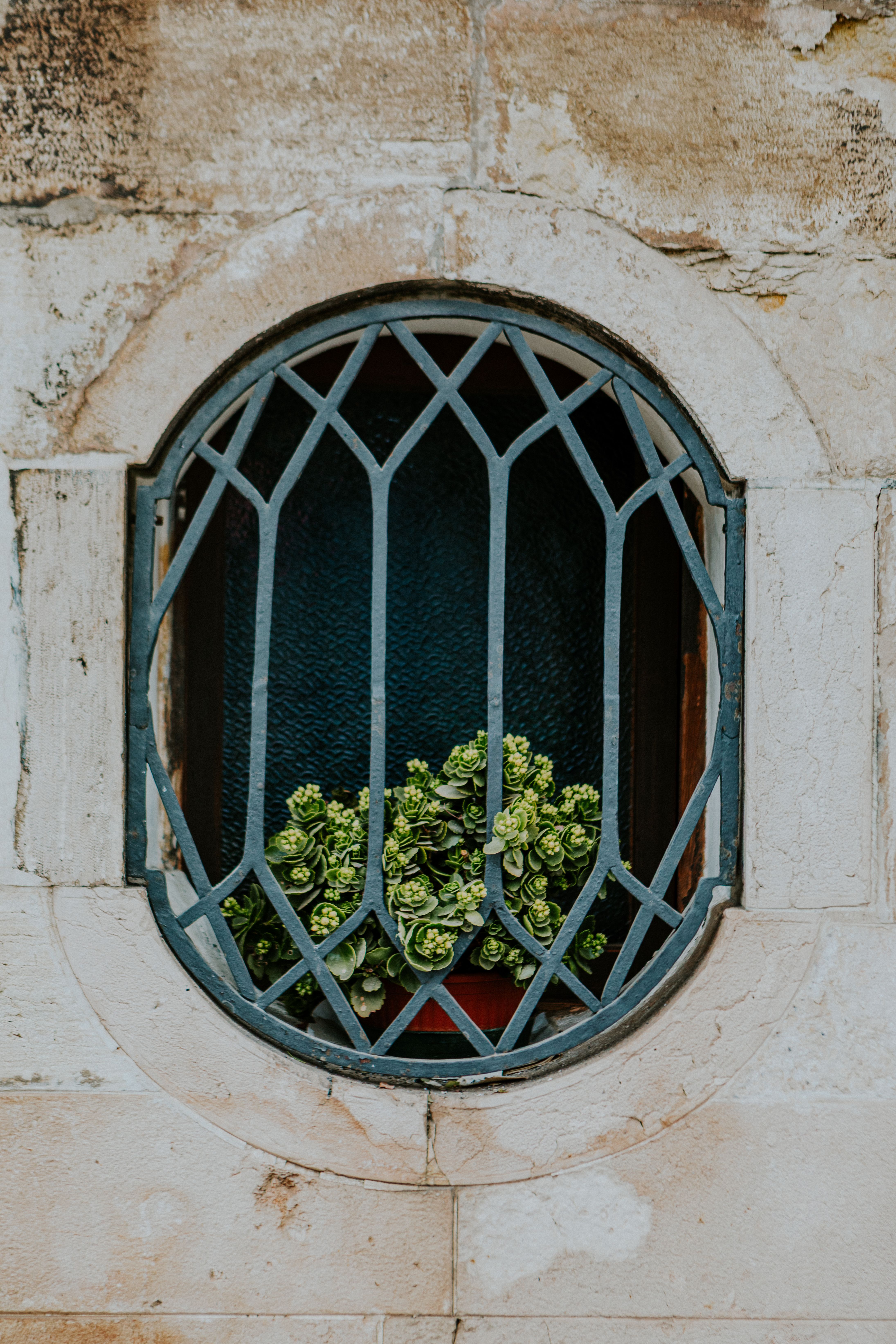 Round Window with Iron Bars and Green Plants · Free Stock Photo