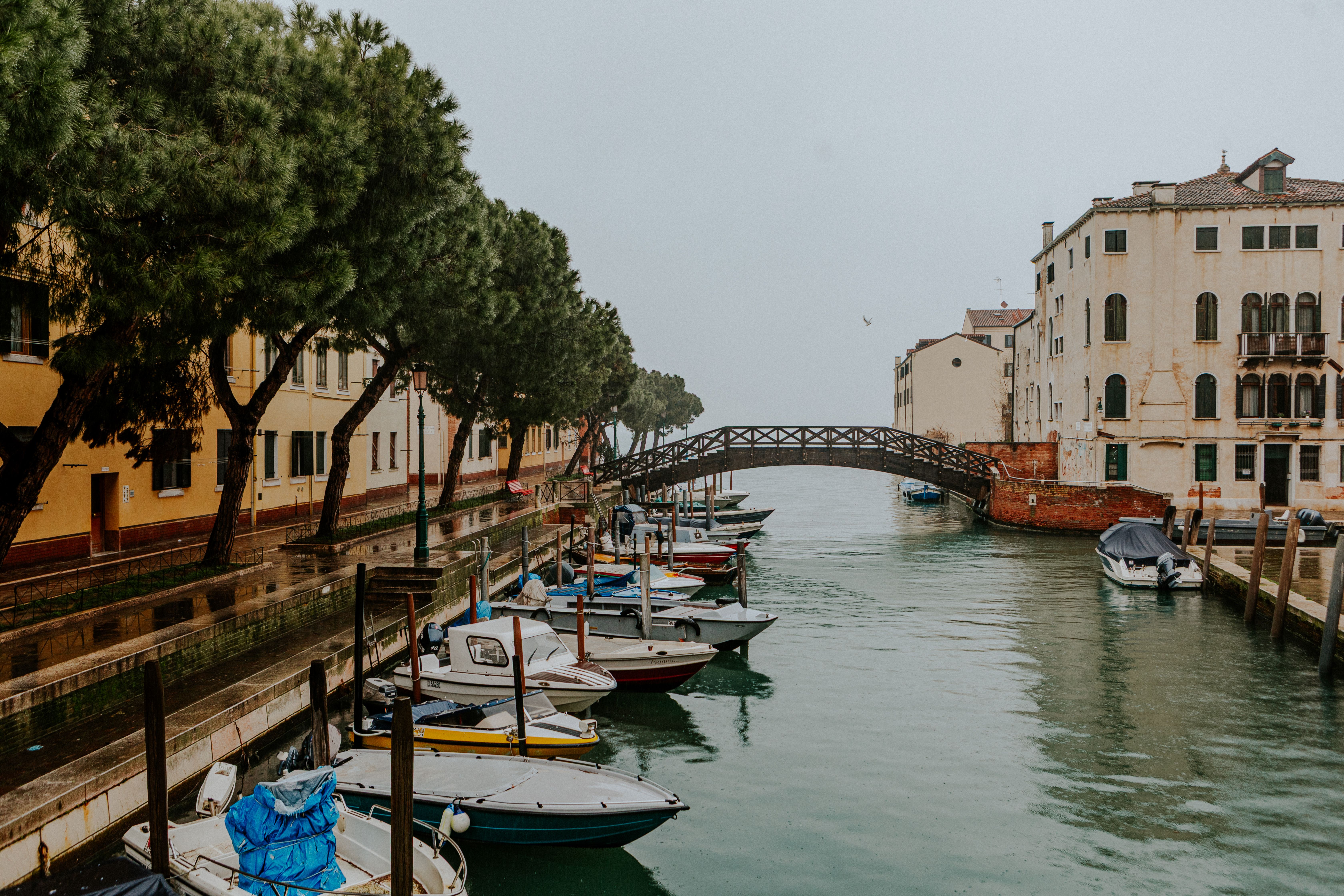 Nuture Trails Photos, Download The BEST Free Nuture Trails Stock Photos ...
