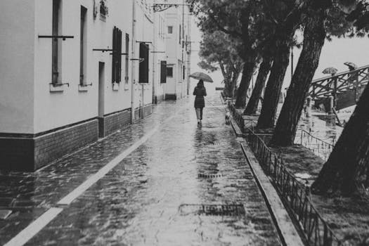 Monochrome image of a person with umbrella walking down a rainy cobblestone street.