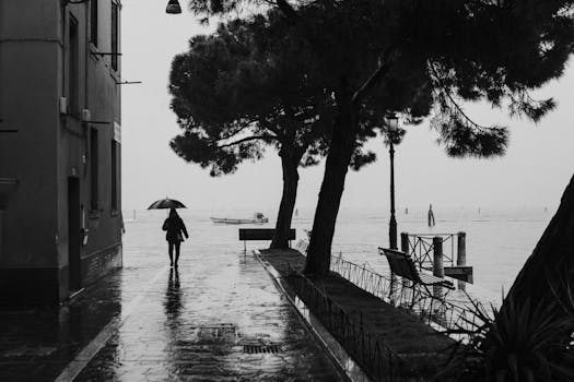 Silhouette of a person with umbrella on a rainy day by water, in black and white.
