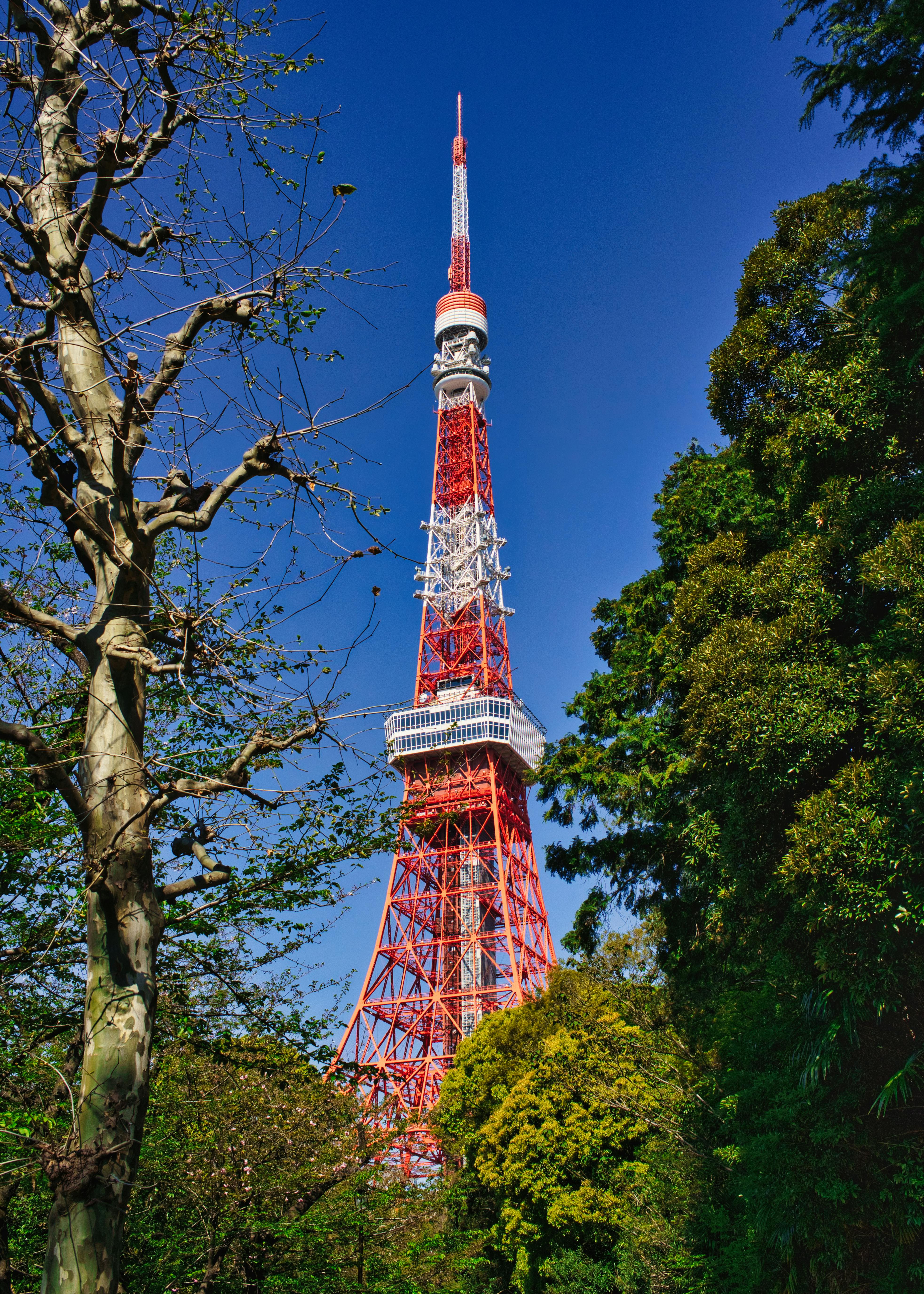 Vibrant view of Tokyo Tower surrounded by trees on a clear day, Tokyo, Japan.