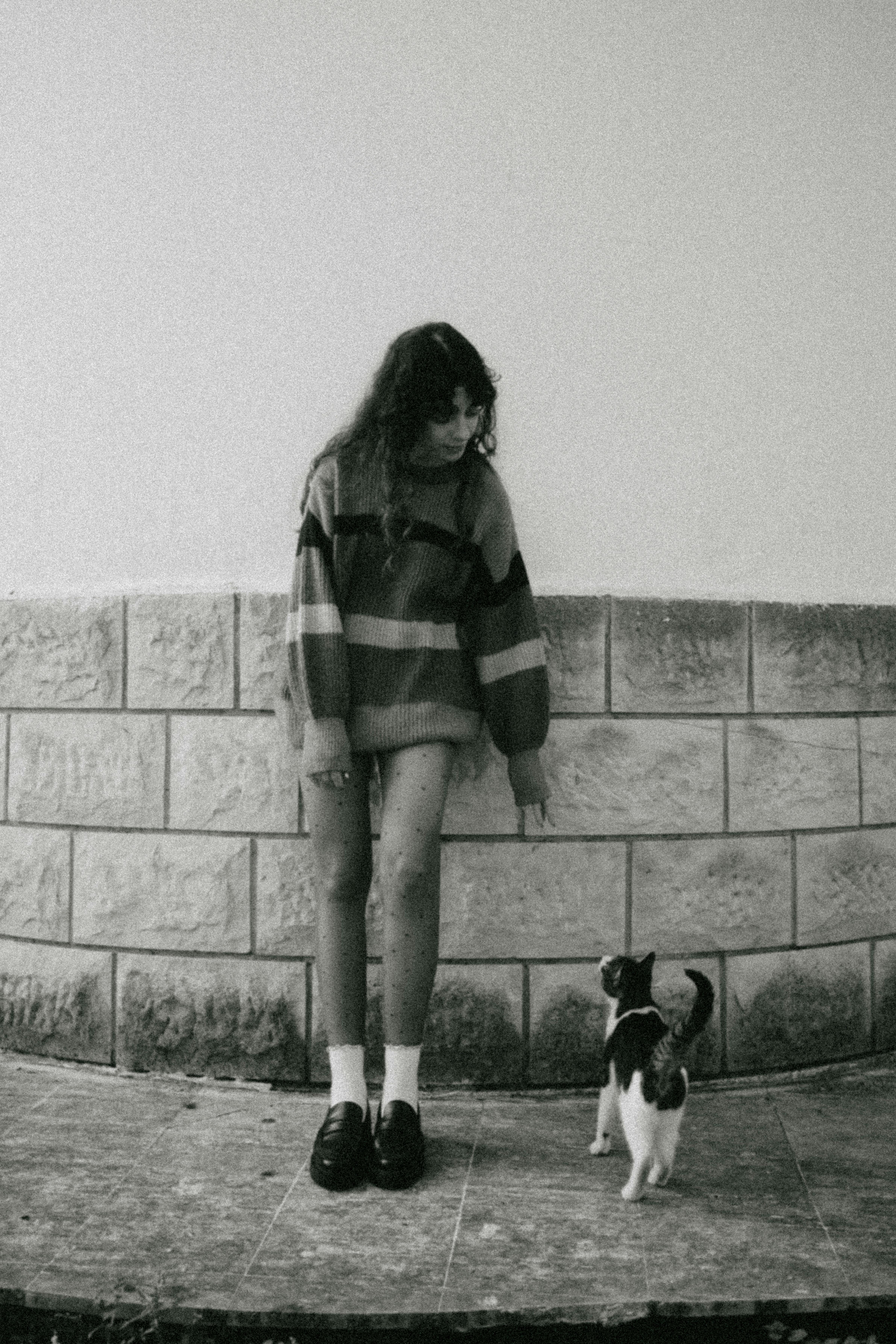Artistic black and white photograph of a girl and a cat outdoors.