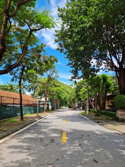 Free A peaceful tree-lined street in Hanoi, Vietnam, showcasing vibrant greenery under a clear blue sky. Stock Photo