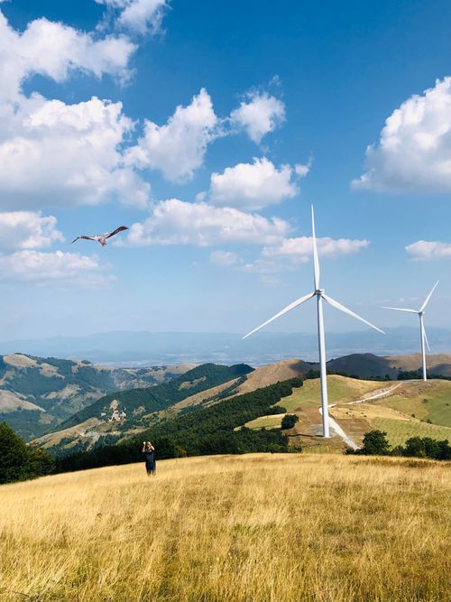 Free Picturesque view of wind turbines on grassy hills with a bird soaring in the clear sky. Stock Photo