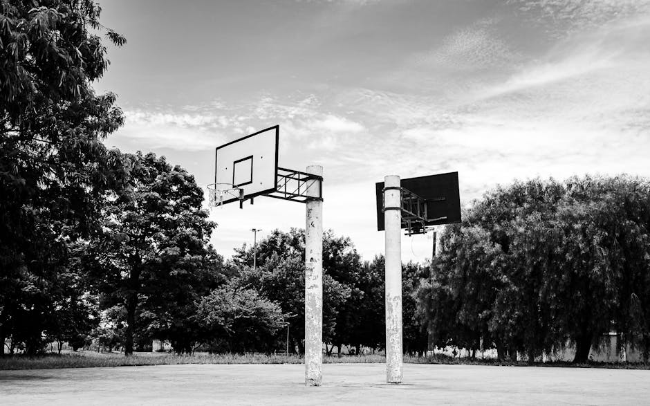 Parks with Dog-Friendly Fitness Zones - 8 Suggestions Parks with Dog-Friendly Fitness Zones - 8 Suggestions