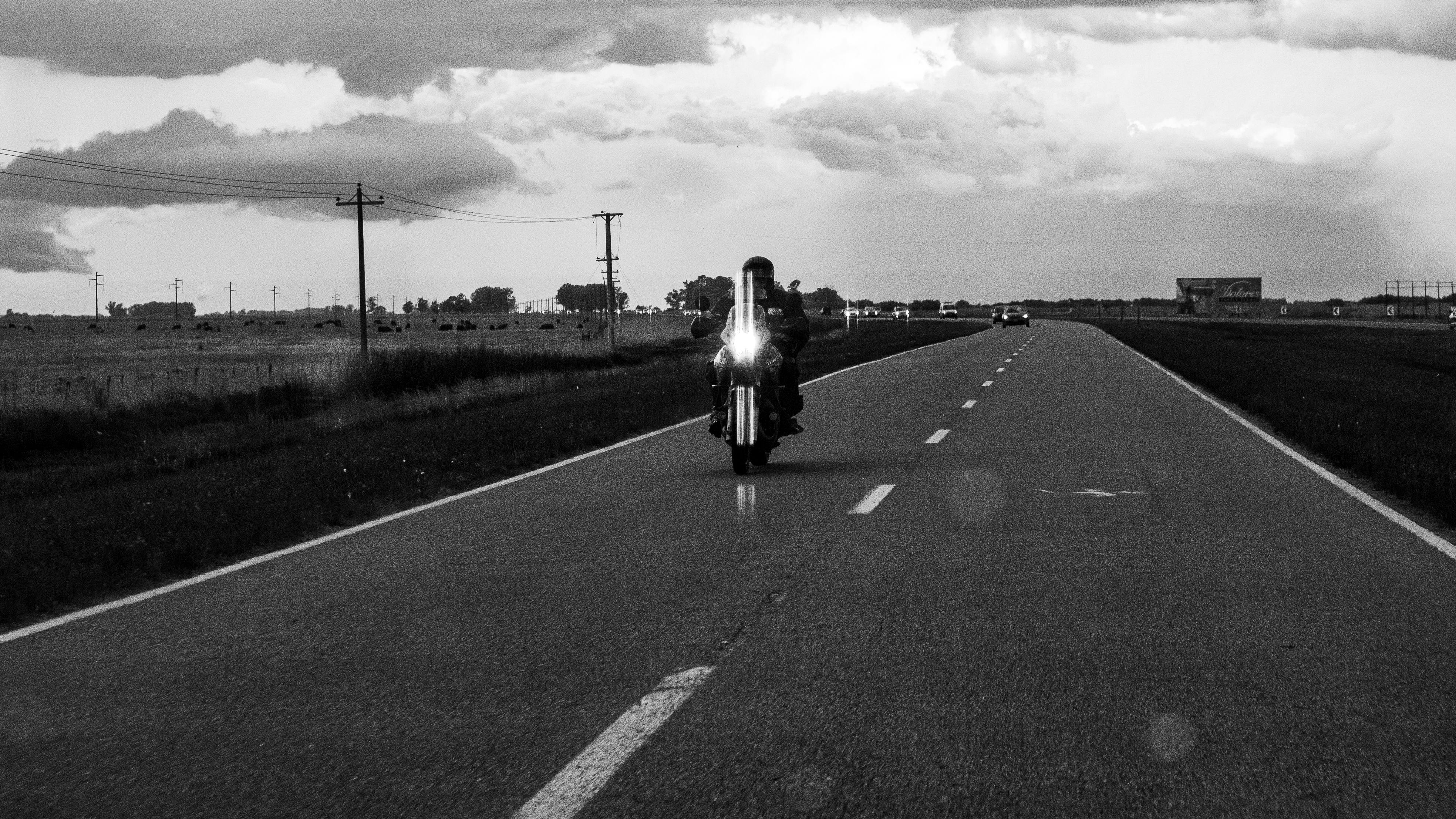 Flora Nativa Pampeana en Paisajismo: Diseño, Propagación y Sostenibilidad