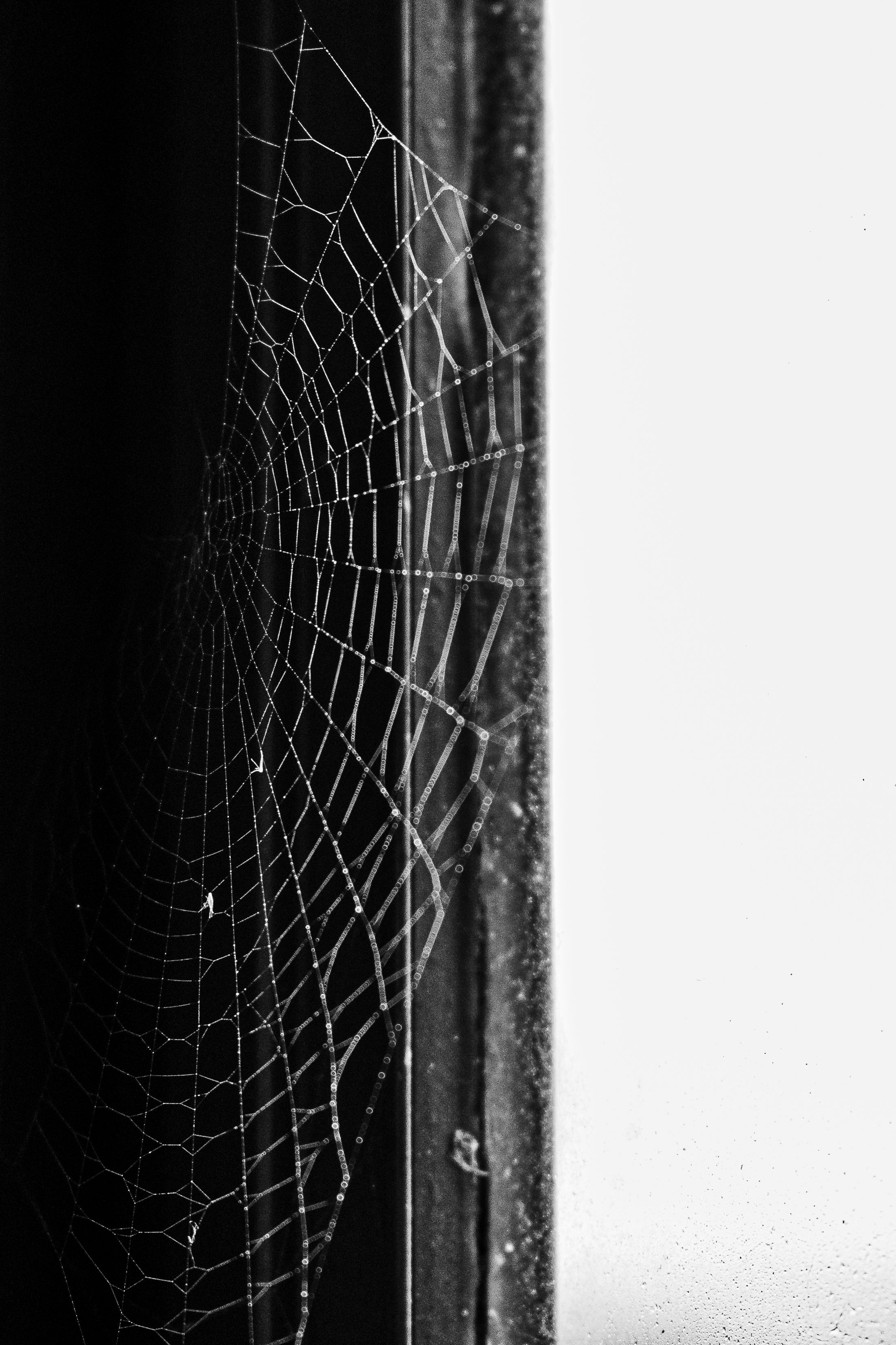 La Web Photos, Download The BEST Free La Web Stock Photos & HD Images