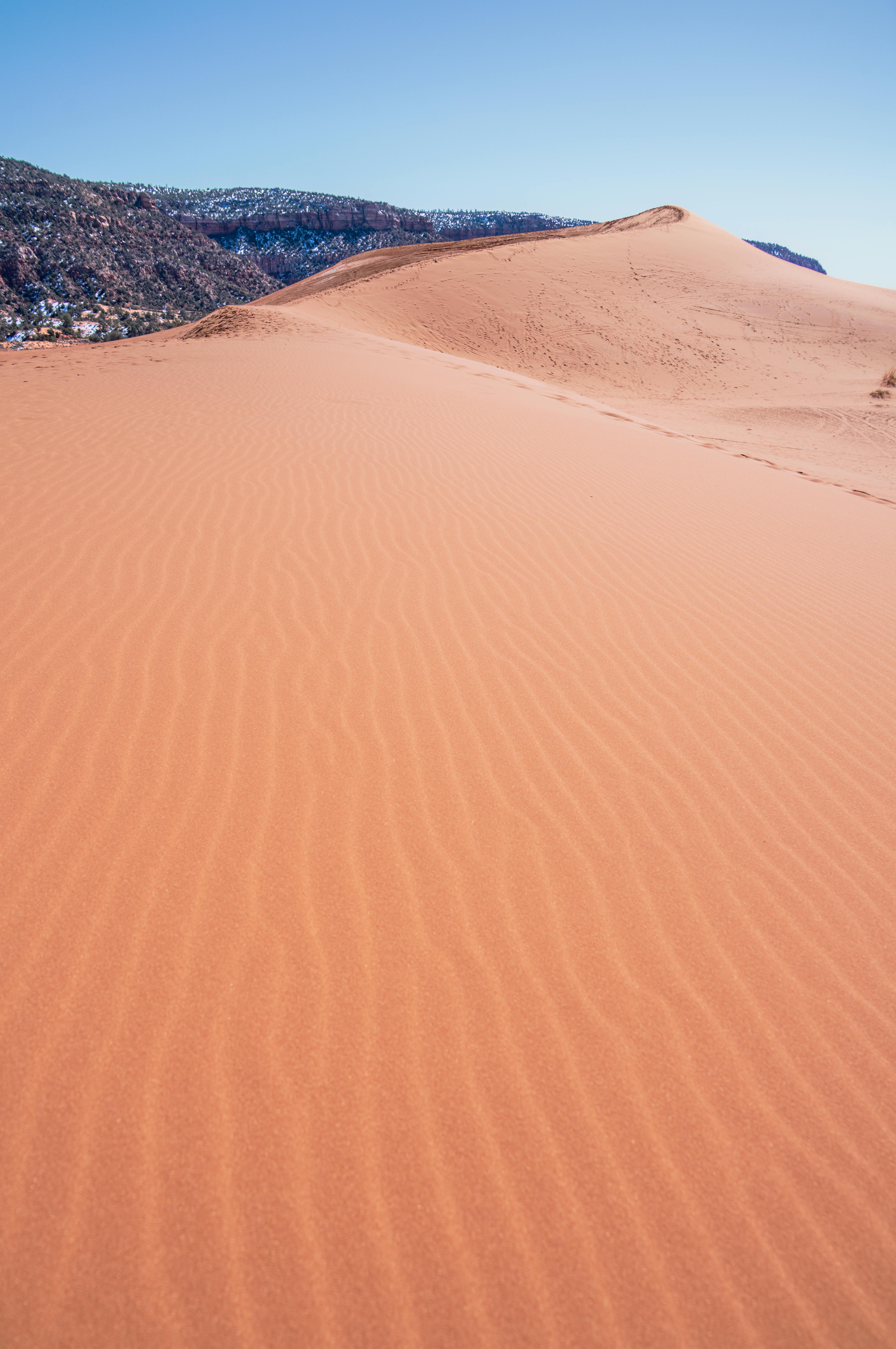 Explore the natural beauty of Utah's Coral Pink Sand Dunes, featuring sweeping desert landscapes.