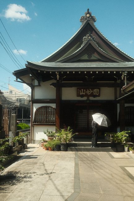 A peaceful scene at a Tokyo shrine featuring traditional architecture and a visitor with an umbrella.