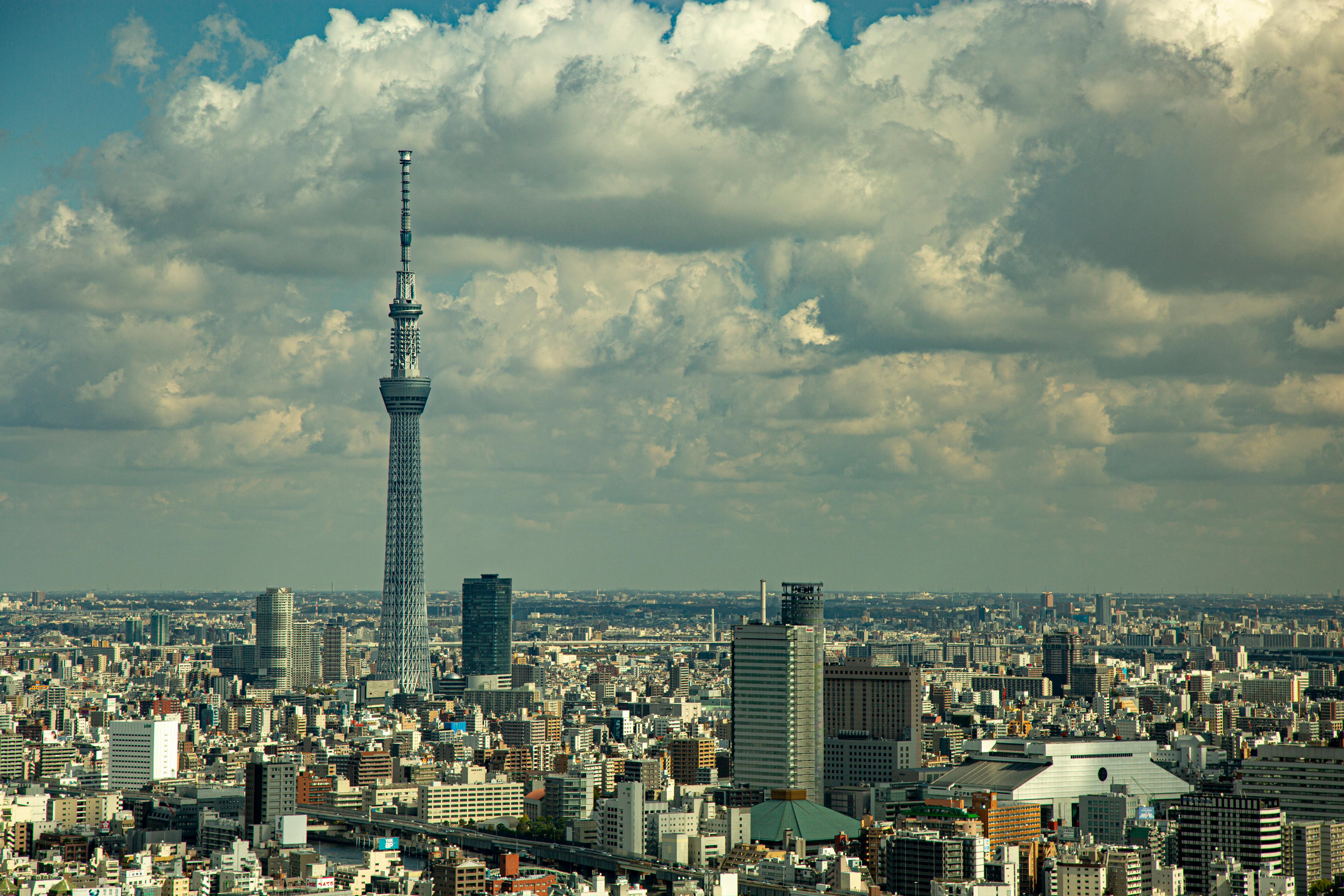 京畿地区为人为提高房地产价格进行串通行为，迫压中介现场的作战势力大批被查处。