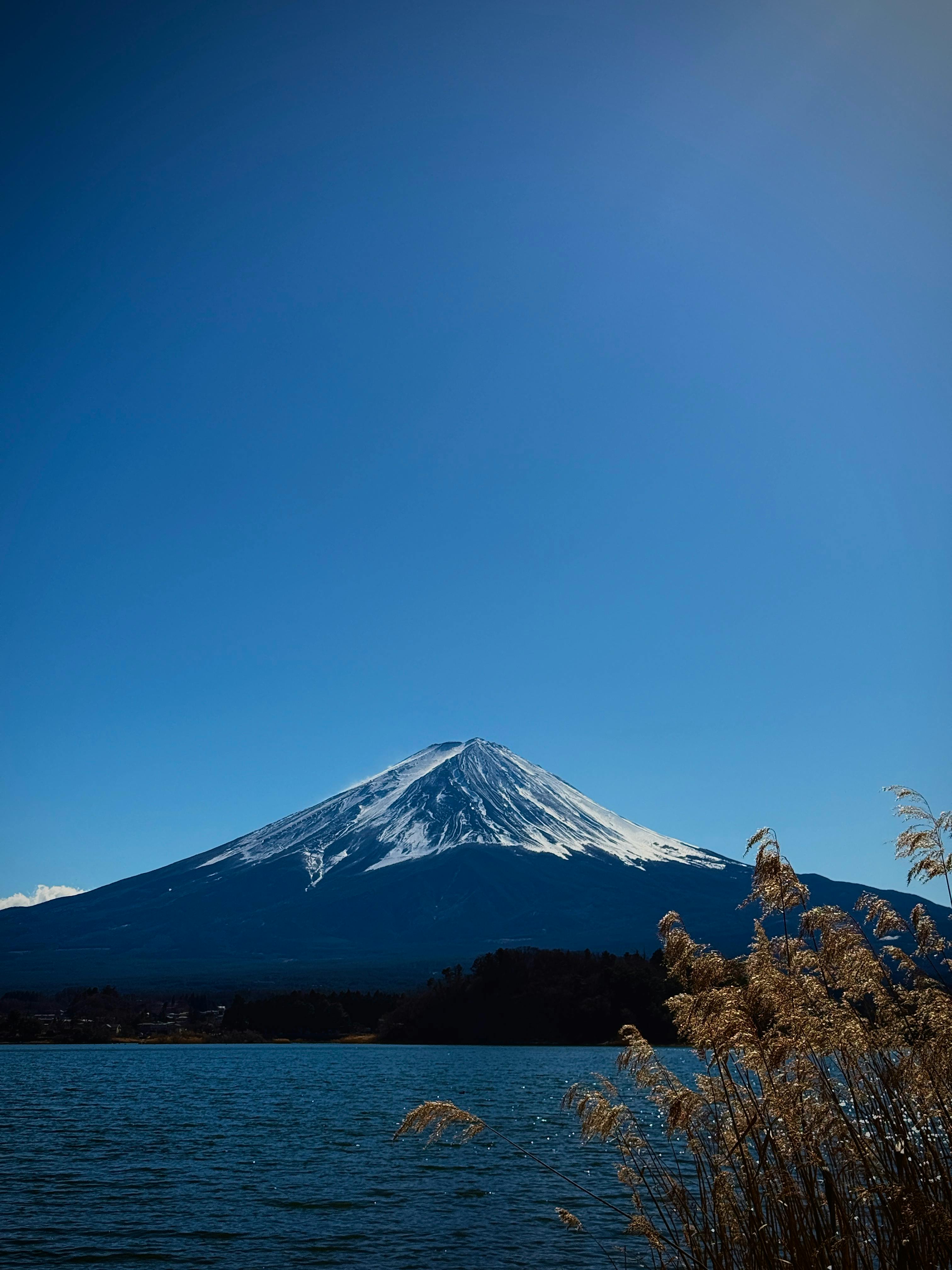 Majestic Mount Fuji Framed by Autumn Leaves · Free Stock Photo Majestic Mount Fuji Framed by Autumn Leaves · Free Stock Photo