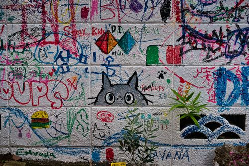 Free A vibrant graffiti wall in Tokyo with colorful illustrations and plants. Stock Photo