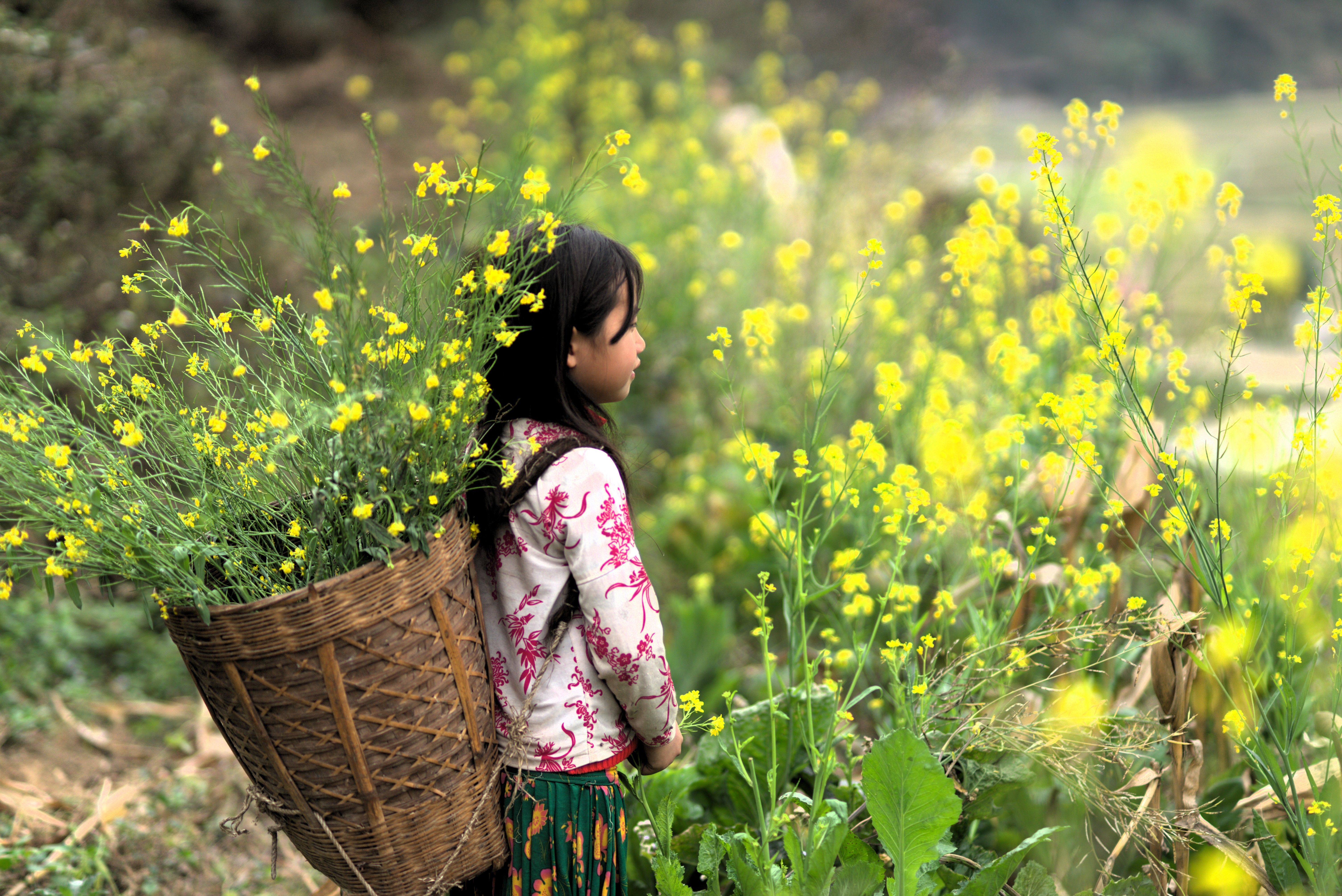 Exploring the Ethnic Minorities of Northern Vietnam
