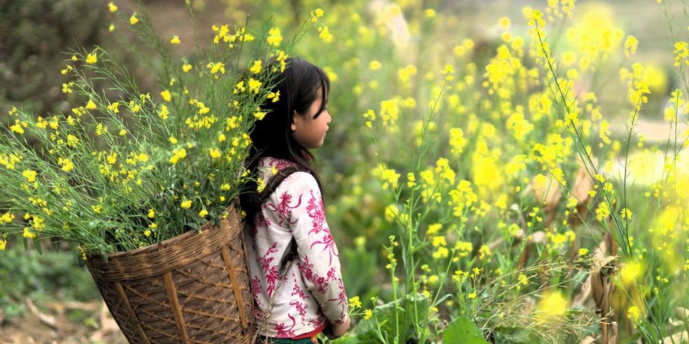 Khám phá HÀ GIANG - Chuyến hành trình ngỡ ngàng qua mùa đẹp nhất với 5 điểm không thể bỏ lỡ