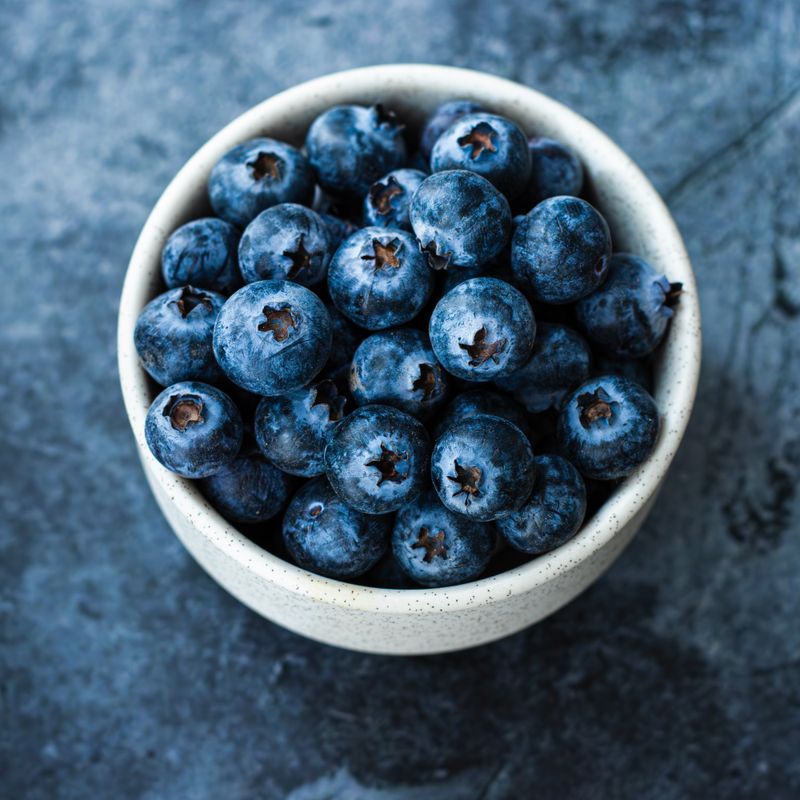 Blueberry Frozen