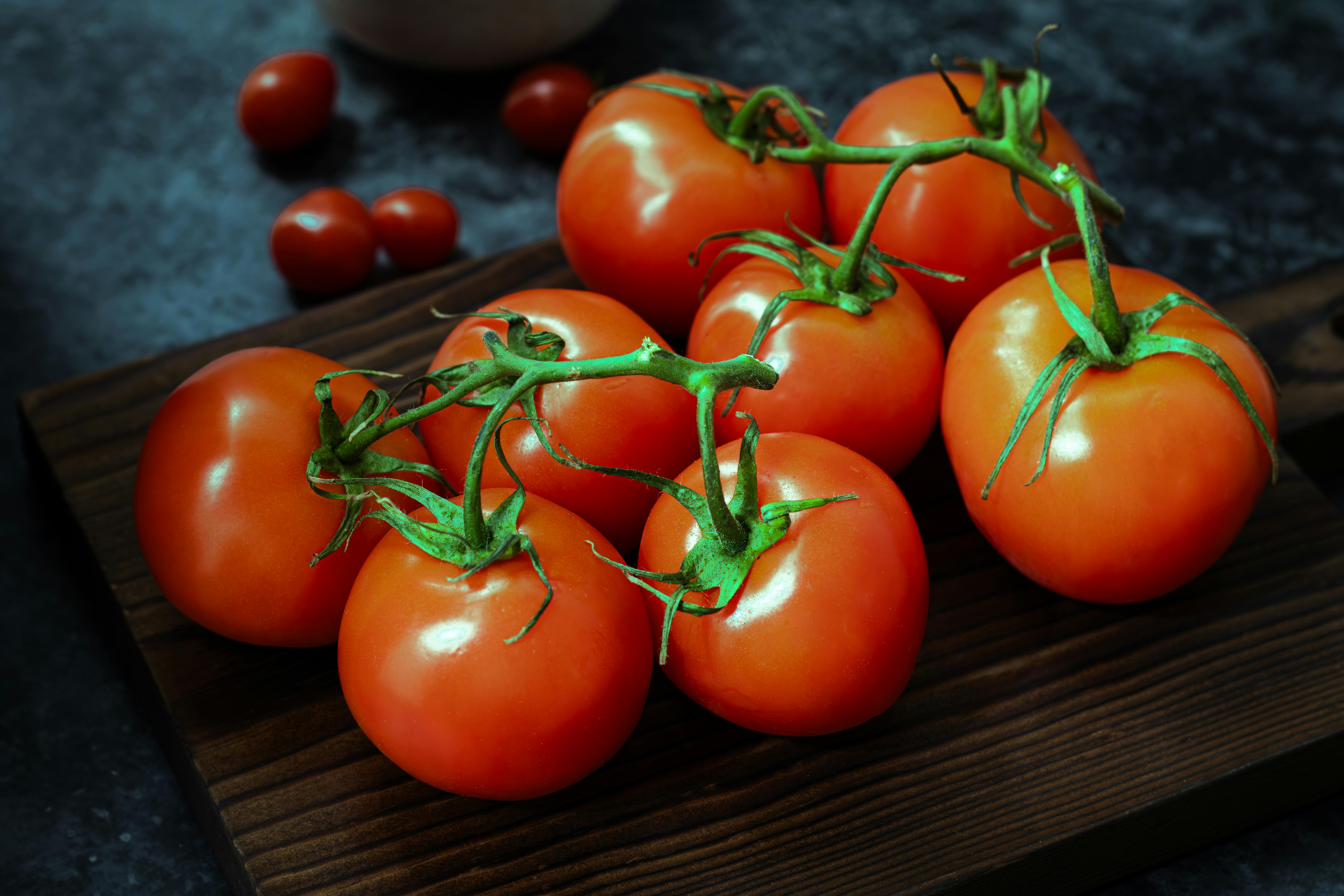 Rotten Tomatoes Awards: Best Movies &amp; TV Winners 2025 — Photo by The Design Lady on Pexels