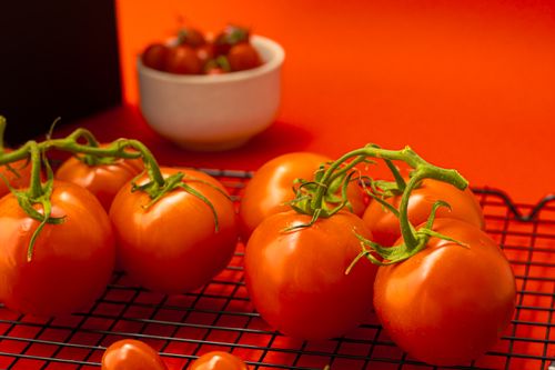 Free Bright red tomatoes on a vine, creatively presented with a vivid background. Stock Photo