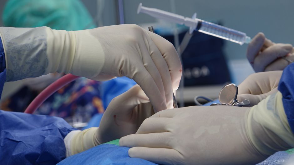 surgeon's hands with medical gloves, symbolizing precision and care - how to make areolas smaller without surgery surgeon's hands with medical gloves, symbolizing precision and care - how to make areolas smaller without surgery