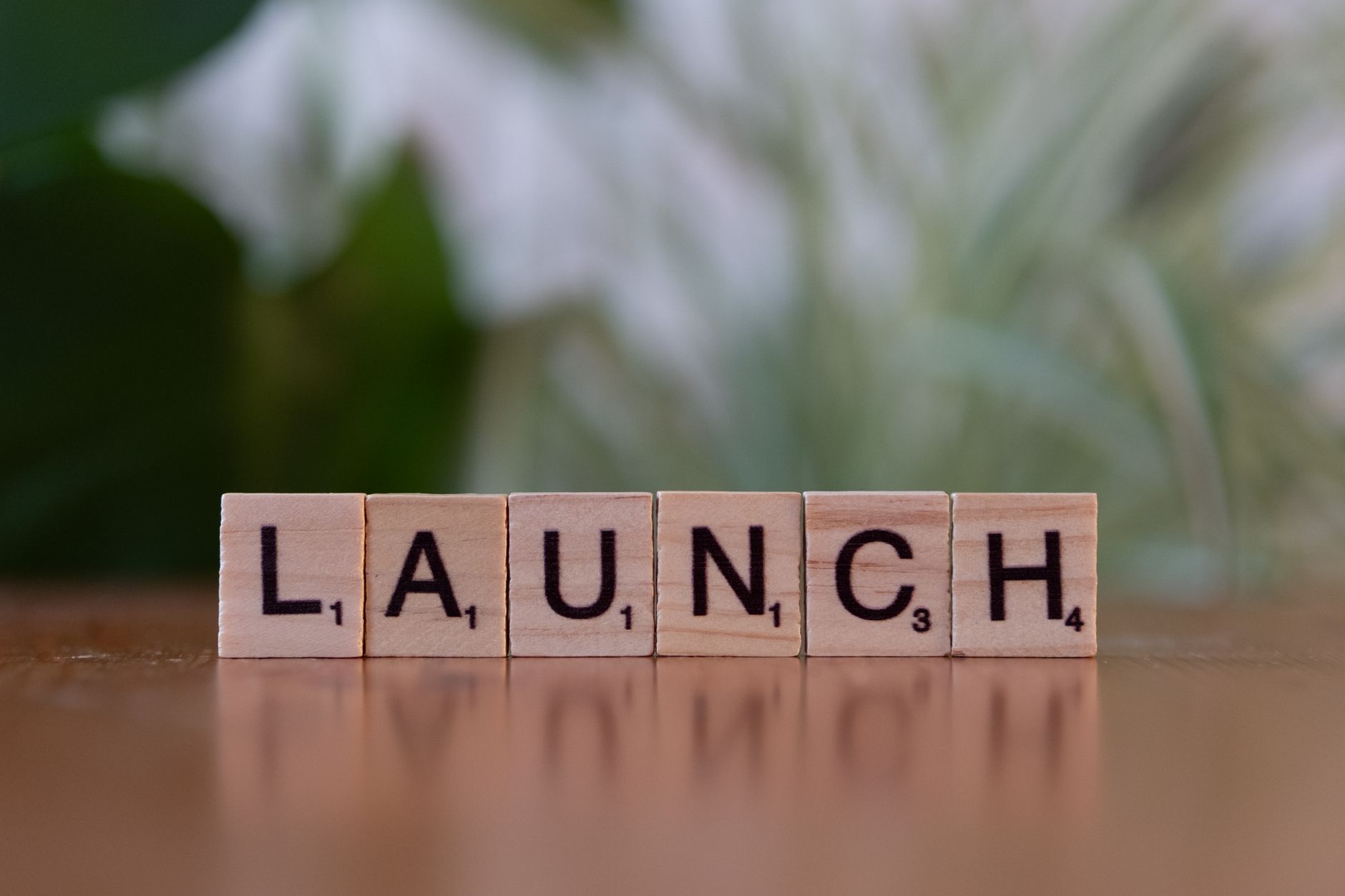 marketplace mvp solo founder — How to build a marketplace MVP without a co-founder