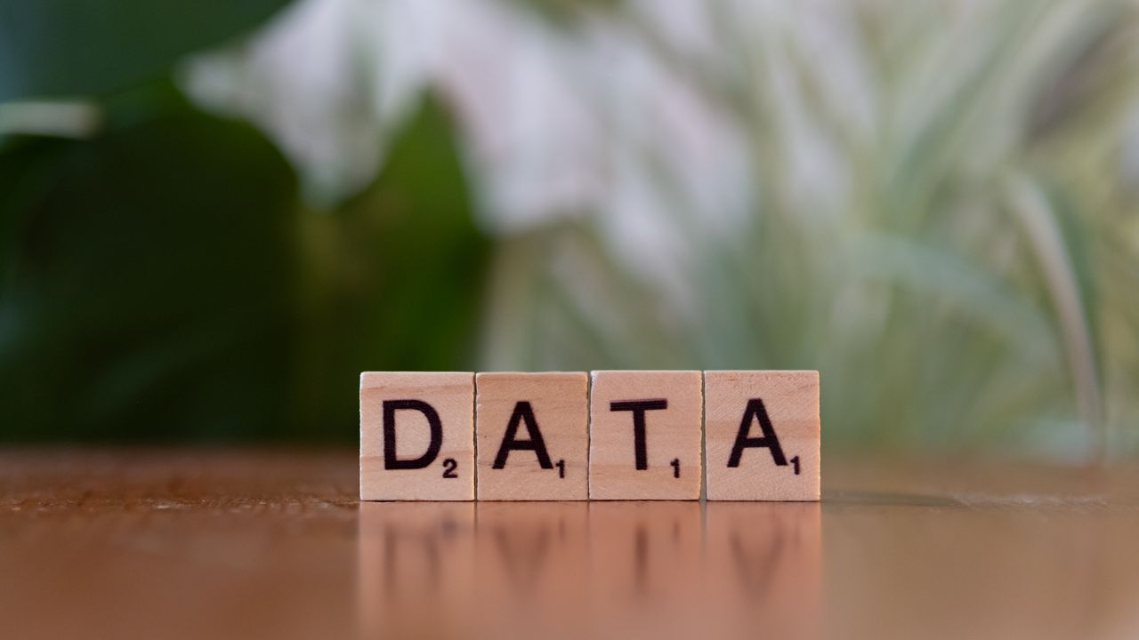 Scrabble tiles spelling 'DATA' on a wooden table with a blurred plant background.