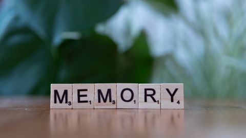 Cognitive reserve: why the same pathology can produce different symptoms