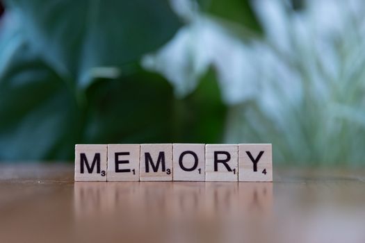Memory Lane: Natural Ways to Improve Recall and Retention